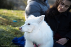 DHP IMG_2018_10_19_8943_