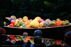 DHP IMG_8964 4_