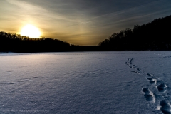 DHP full  IMG_6D_2019_02_02_12773 snow and sky_
