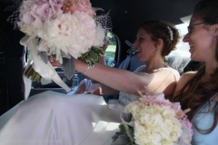 DHP IMG_6904_
